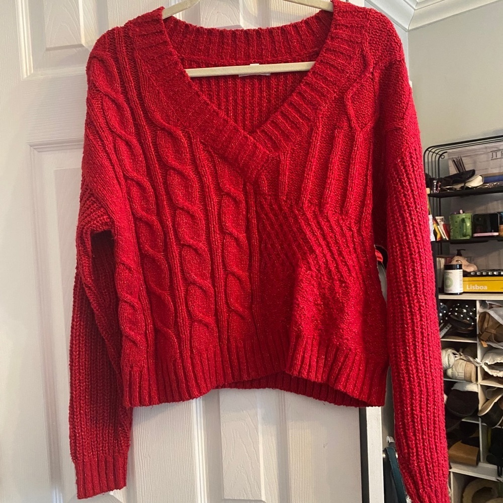 Abound Red knit sweater